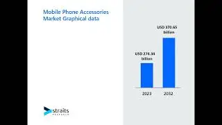 Mobile Phone Accessories Market Research Insights: Empowering Data-driven Business Strategies