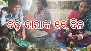 ବଢ଼ ବାପାଙ୍କ ୧୧ ଦିନ
