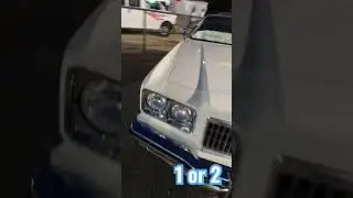 Battle of the verts &ldquo; #fyp #viral #explore #caprice     Pick one&rdquo;