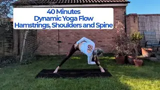 40 Minutes | Dynamic Yoga Flow |  for Hamstrings, Shoulders and Spine
