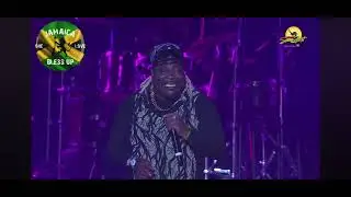 Harry Toddler Reggae Sumfest 2025 live performance&hellip;