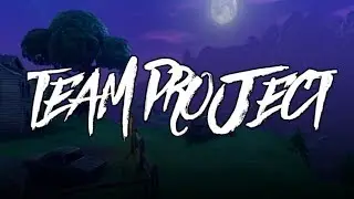 Introducing Project Fortnite - #teamproject