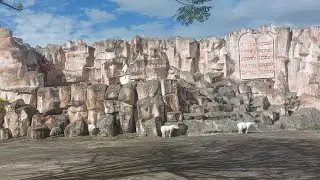 ANU MERON SA GALILEE WORSHIP CENTER  AT ANU DIN  GALILEE WAILING WALL AT GUSTO AKO ISAMA NI MOTHERS?