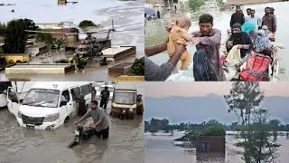 taunsa sharif doob gya | taunsa flood 2022 | flood in Pakistan 2022 #floodinpakistan #flood2022