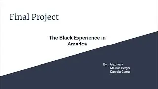 The Black Experience in America