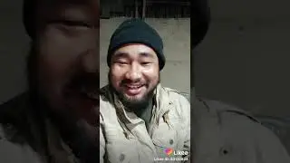 bodo comedy