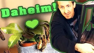 Endlich daheim! 🌿 Das neue Zuhause f&uuml;r meine Pflanzen