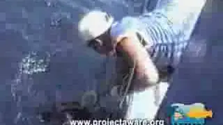 Sustainable Fisheries