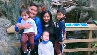 National aquarium clvv