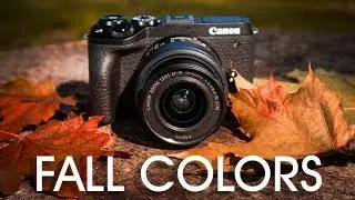 Fall Photo Lightroom Editing, Creative Camera Challenge