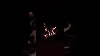 Chingari koi bhadke WhatsApp status ❤️