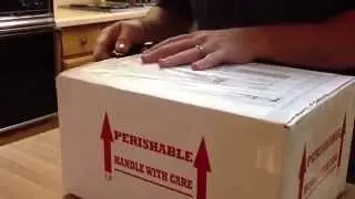 Giant Gecko Unboxing 2