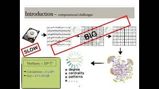 Par@graph - complex network analysis