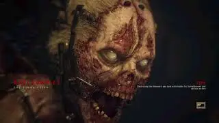 The Final Reich - COD WW2 Funny Moments