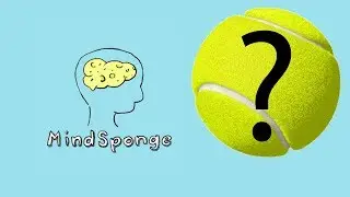 Why are Tennis Balls Fuzzy?