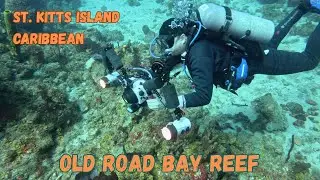 SCUBA Dive at Old Road Bay Reef, St. Kitts Island, Caribbean.