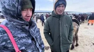 Тай-Кулун/ Каракол мал базар/ 17-январь