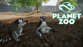 КОШАЧИЙ ЛЕМУР И РЫЖИЙ ВАРИ #17 PLANET ZOO ПРОХОЖДЕНИЕ