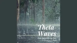 Radiant Pet Serenity Theta Waves Rain