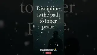 Reality #motivation #inspiration #quotes #motivationalquotes #mindfuel #shorts #discipline