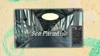 Sea Paradise ⚓️🦀🦦                                                    #vlog7