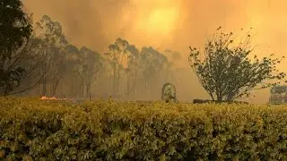 2020 one of three hottest years ever recorded: UN | AFP