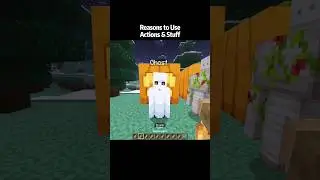 Minecraft Actions & Stuff 1.7 Nametags