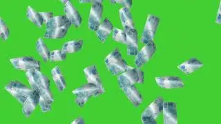 BRL 100 Brazilian Real Currency Banknotes Falling | GREEN SCREEN | HD | ROYALTY FREE
