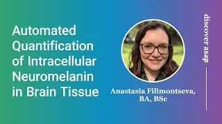Automated Quantification of Intracellular Neuromelanin in Brain Tissue