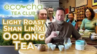 Eco-Cha Tea Club: 114 - Light Roast Shan Lin Xi Oolong Tea | Eco-Cha Teas