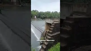 Thiruparapu falls #shorts #checkdam