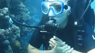 beautiful morena , like sweet snake !! scuba diving !!