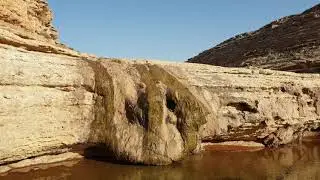 ربااااه ما هذا الجماااااال