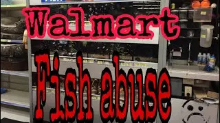 Walmart Fish Abuse Animal Abuse