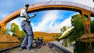 Bass Fishing Patagonia Lake Southern Arizona