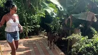 My Soft Life! Solo Living in Panama 🇵🇦