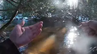 How I got into fishing - Dopamine Addiction - Sportsmanship - Mirror Neuron Network and Ethics