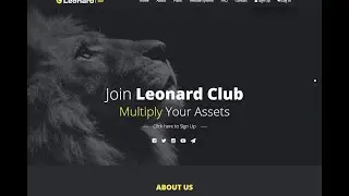 Buy HYIP investment Themes | hyipstarter.com