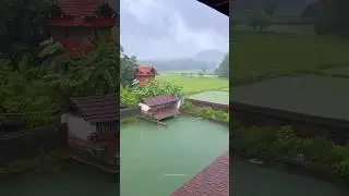 Monsoon makes Kerala more beautiful..!! #kerala #rain #nature #mazhakkalam