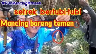 MANCING STREK BERTUBI TUBI