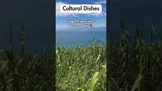 Cultural Dishes