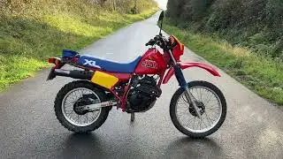 1984 Honda XL250R Walkaround