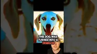 The Dog that was Turned into a DEMIGOD #shorts