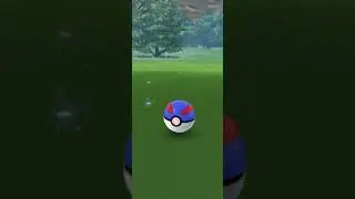 100 iv mudkip in pokemon go #hundo #pokemon #pokemongo #mudkip