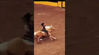 Discipline 6: Barrel racing ❤️ (What others should I edit?)