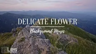 Delicate Flower : Solo Piano Nostalgic Peaceful Background Music