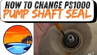 How to Replace Motor Shaft Seal PS1000 on a Pentair WhisperFlo or IntelliFlo Pool Pump
