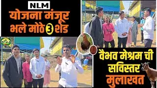 शेळीपालन योजना करायची तर हा व्हिडिओ नक्की पहा.#farming #goat #nlm #शेळीपालन 