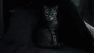 Maghintay [short film]