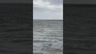 Волга недалеко от города Нариманов в Астраханской области #shorts #shortsvideo #nature